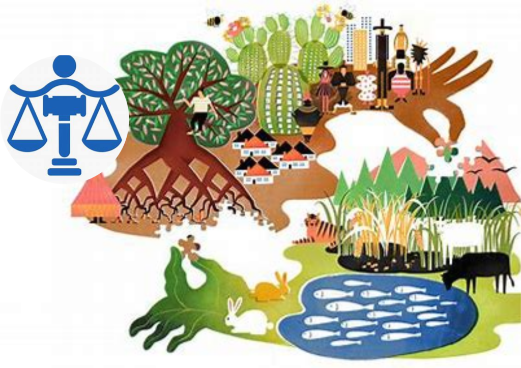 Ecological Democracy: A New Approach and Its Relevance