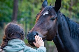 भारत में पशुओं के साथ यौन संबंध (Bestiality) पर कानून